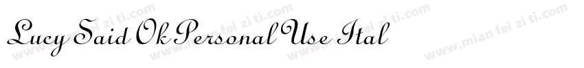 Lucy Said Ok Personal Use Italic字体转换